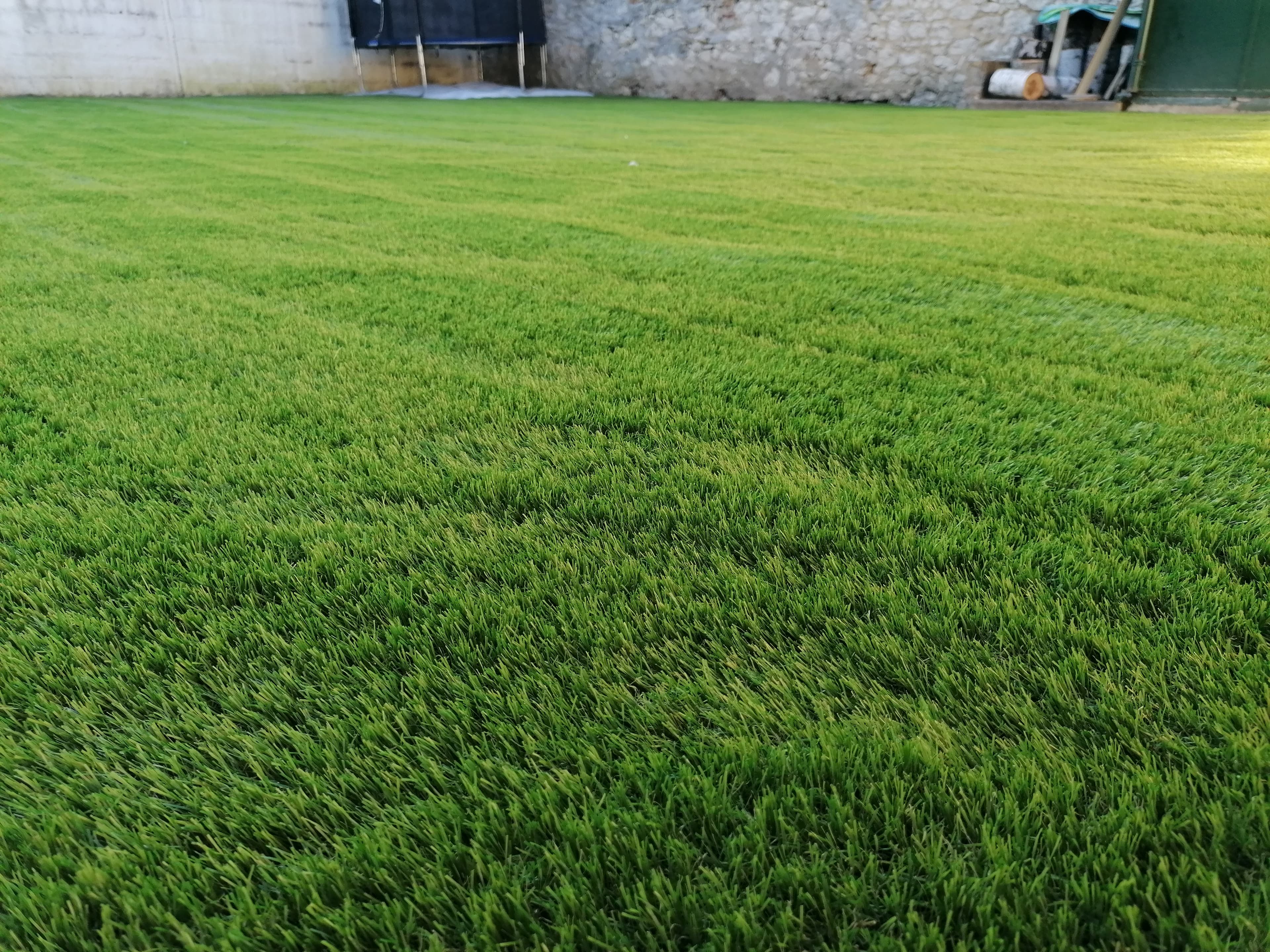 Pelouse verdoyante fraîchement tondue